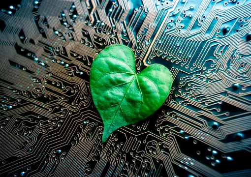 今年会体育app案例